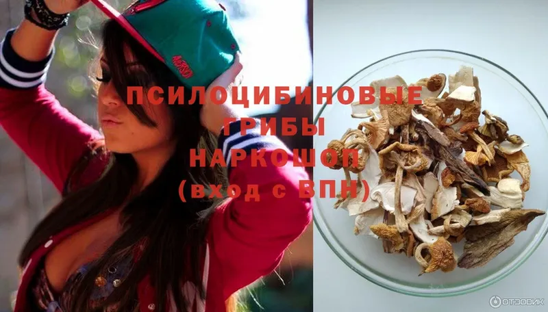 Псилоцибиновые грибы Cubensis  купить закладку  Чкаловск 